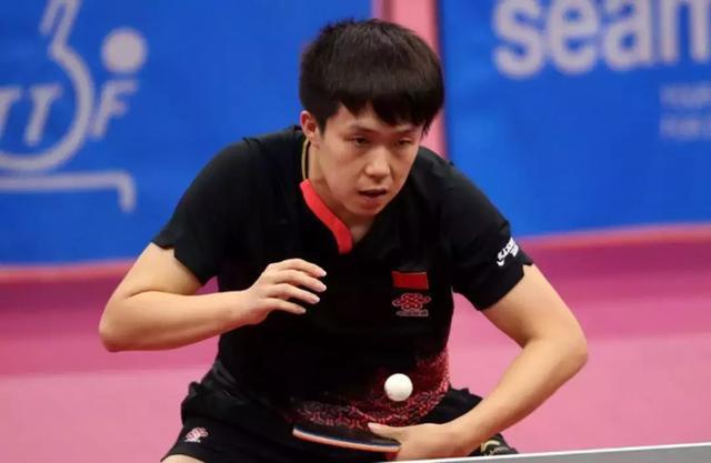 足常青树池 足常青树池